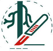 Applications of Robotic Surgery